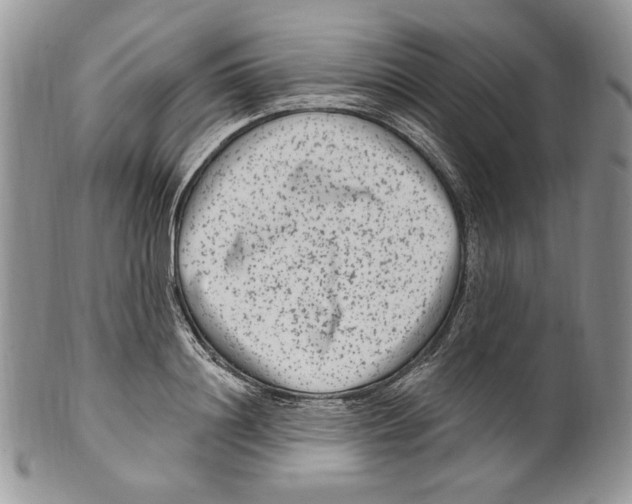 X0000099560844200806131232