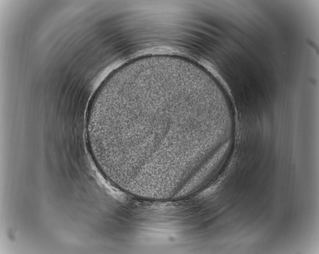 X0000099560845200806131232