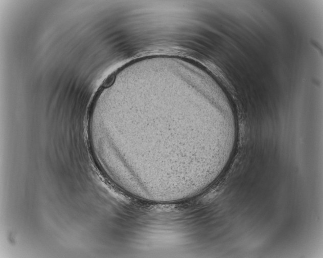 X0000099560846200806131232