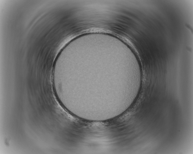 X0000099560847200806131232