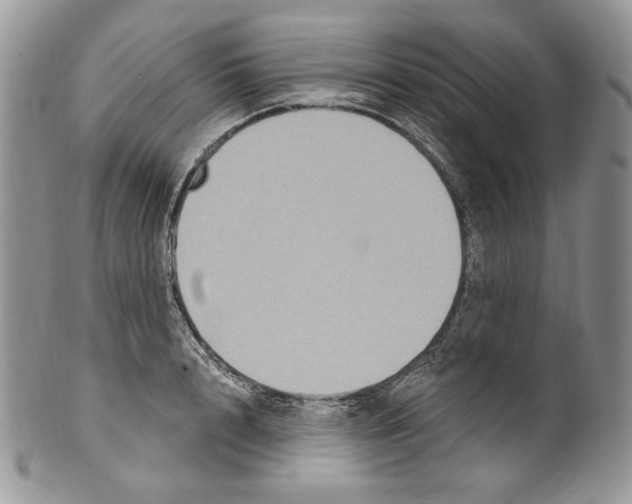 X0000099560848200806131232