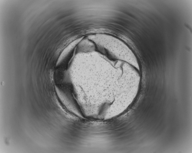 X0000099560849200806131232