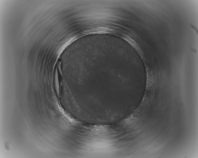 X0000099560850200806131232