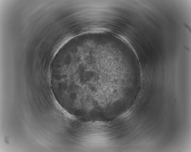 X0000099560851200806131232