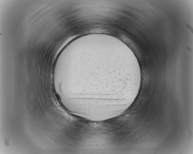 X0000099560852200806131232