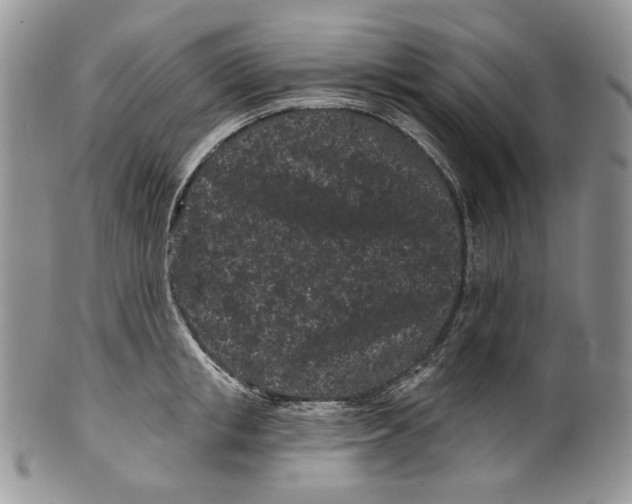 X0000099560853200806131232