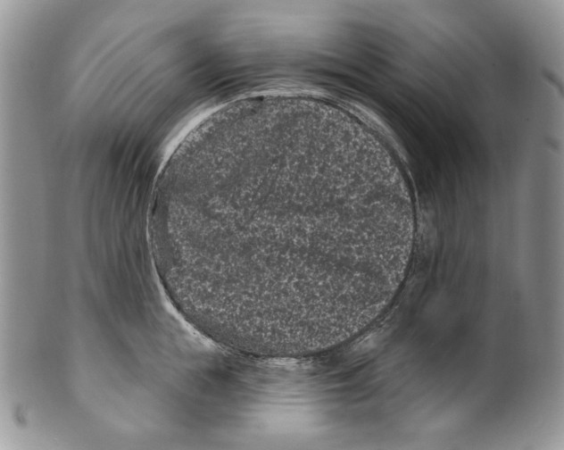 X0000099560855200806131232