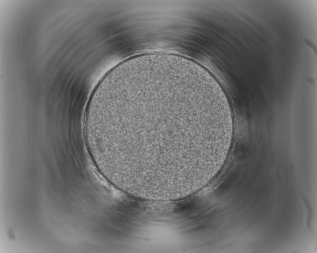 X0000099560856200806131232