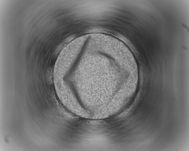 X0000099560857200806131232