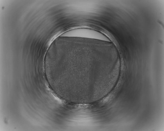 X0000099560858200806131232