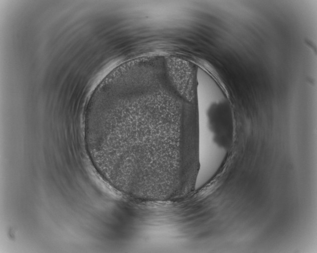 X0000099560859200806131232