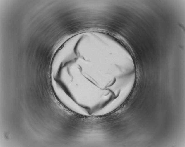 X0000099560860200806131232