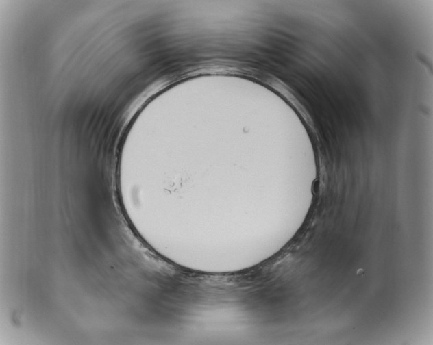 X0000099560861200806131232