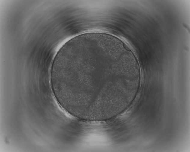 X0000099560862200806131232