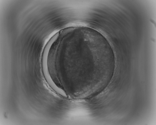 X0000099560864200806131232