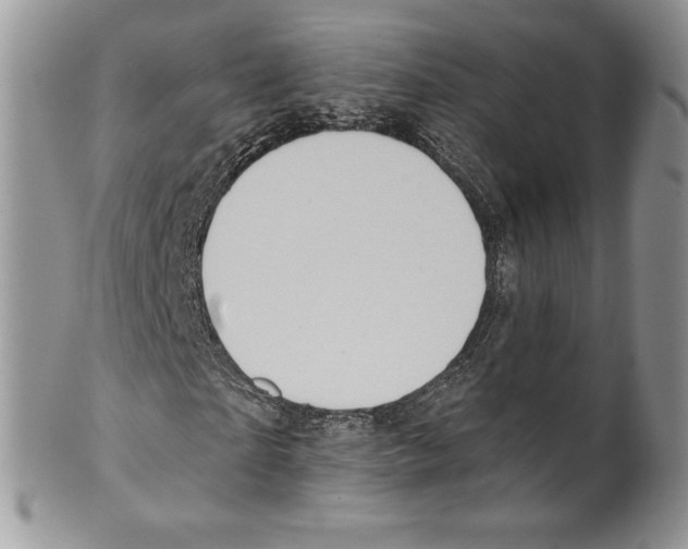 X0000099560865200806131232