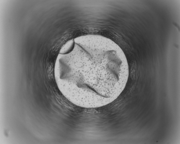 X0000099560866200806131232