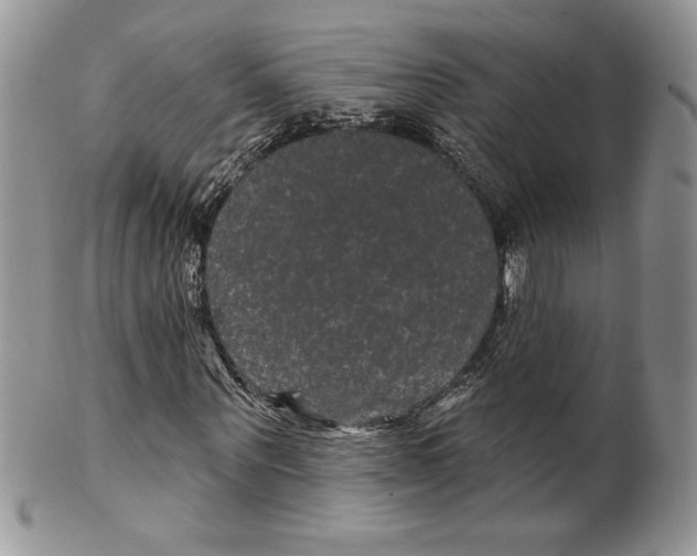 X0000099560867200806131232