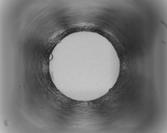 X0000099560869200806131232