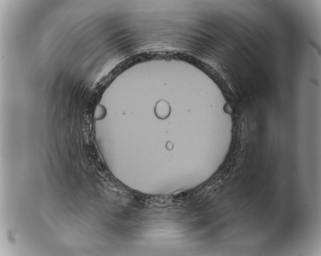 X0000099560871200806131232