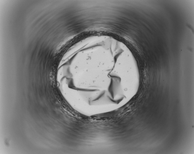 X0000099560872200806131232