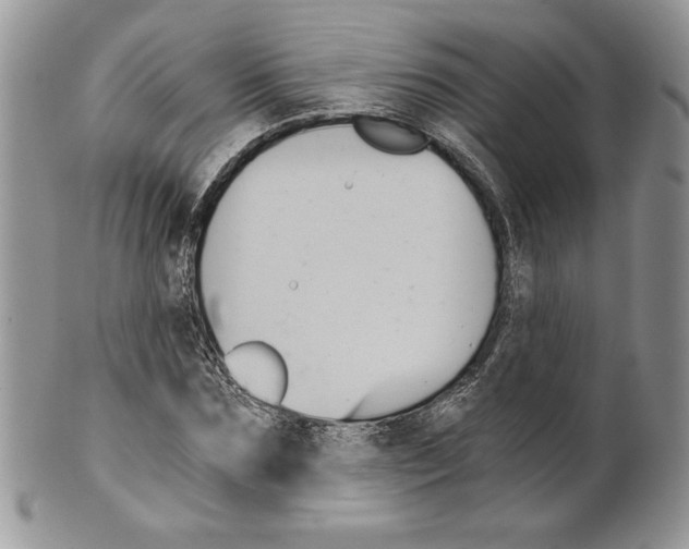 X0000099560875200806131232