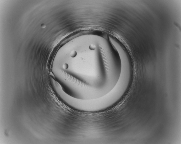 X0000099560876200806131232