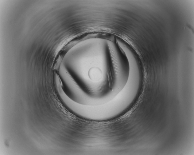 X0000099560877200806131232