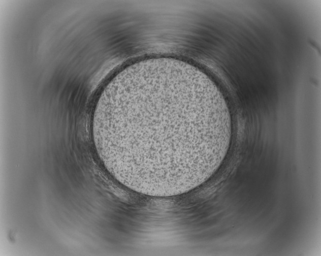 X0000099560878200806131232