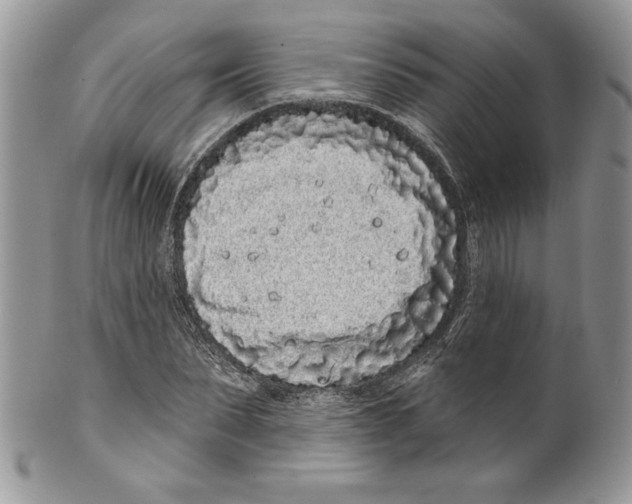 X0000099560879200806131232