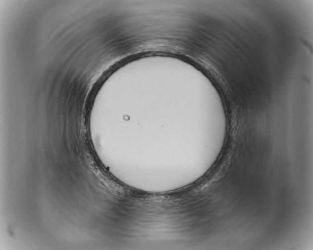 X0000099560880200806131232