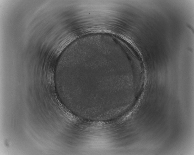 X0000099560881200806131232