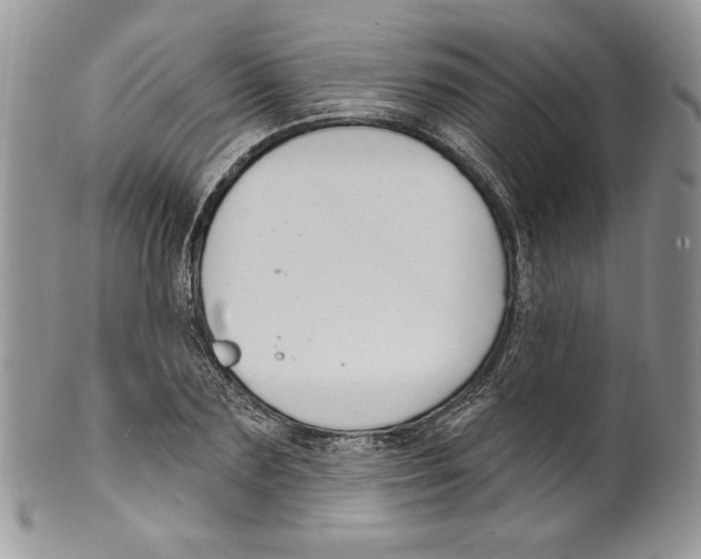 X0000099560883200806131232