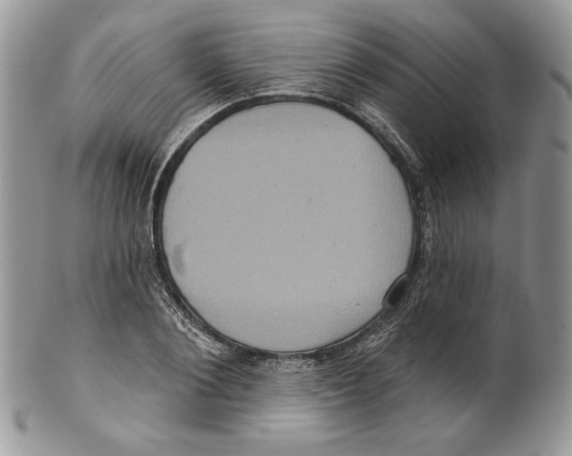 X0000099560884200806131232