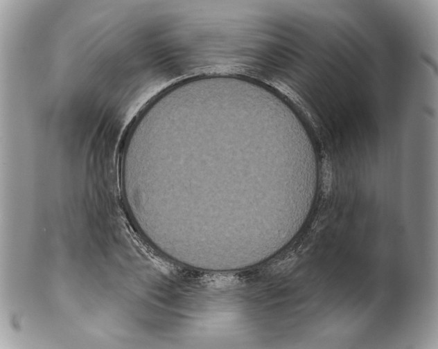 X0000099560886200806131232