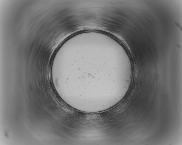 X0000099560887200806131232