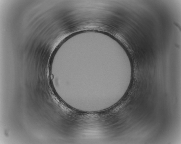 X0000099560888200806131232