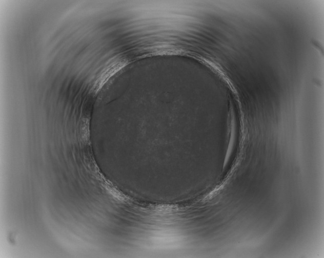 X0000099560889200806131231