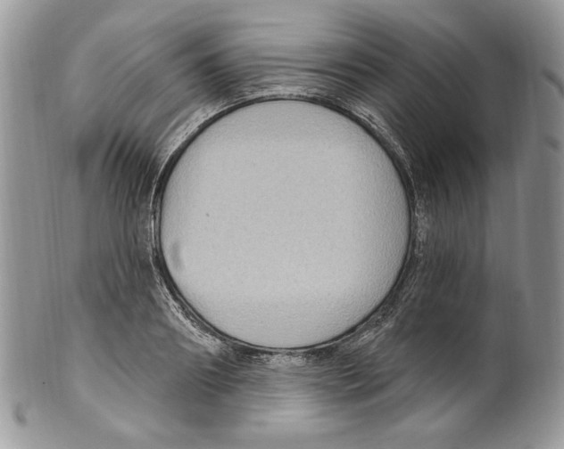 X0000099560890200806131231