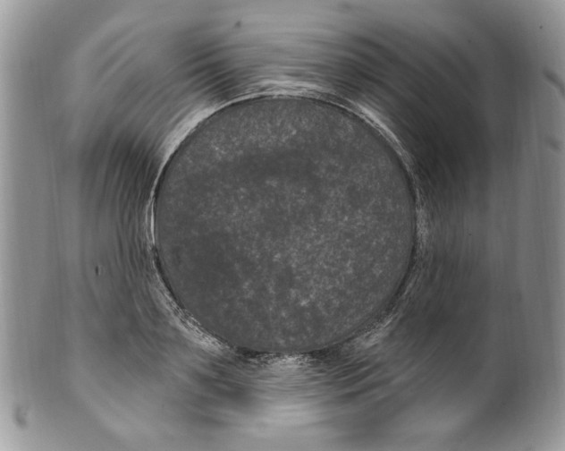 X0000099560891200806131231