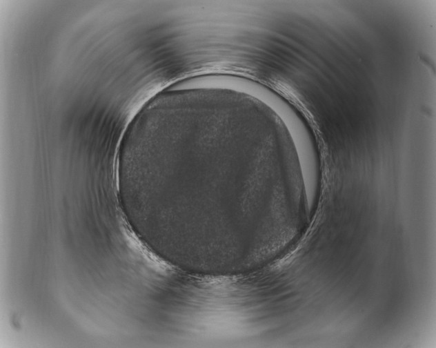 X0000099560892200806131231