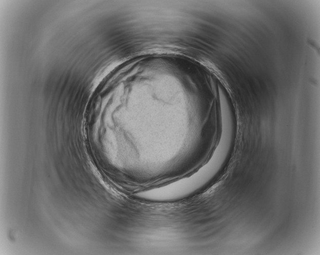 X0000099560893200806131231