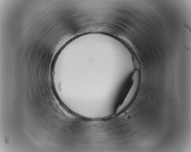 X0000099560894200806131231