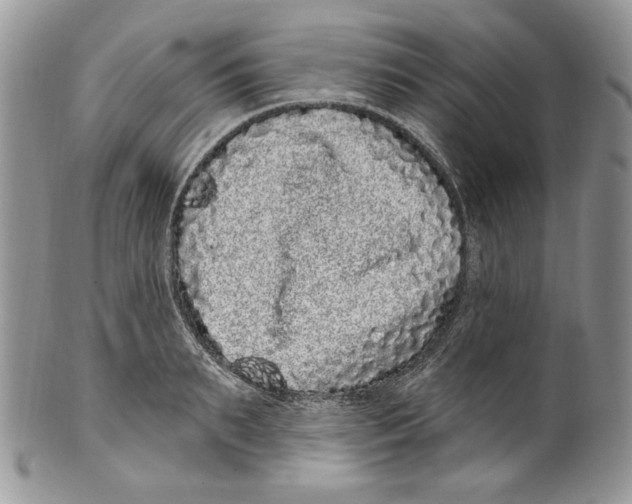 X0000099560895200806131231