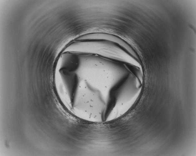 X0000099560896200806131231