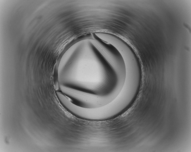 X0000099560897200806131231