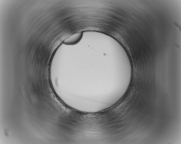 X0000099560898200806131231