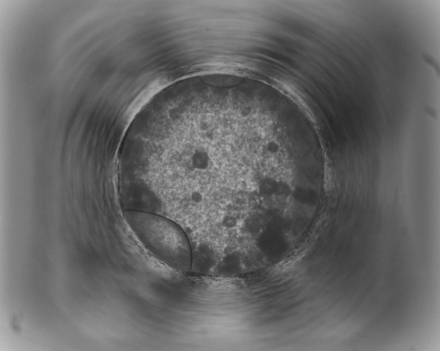 X0000099560899200806131231