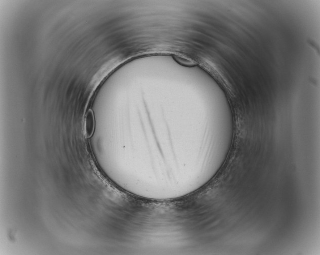 X0000099560900200806131231