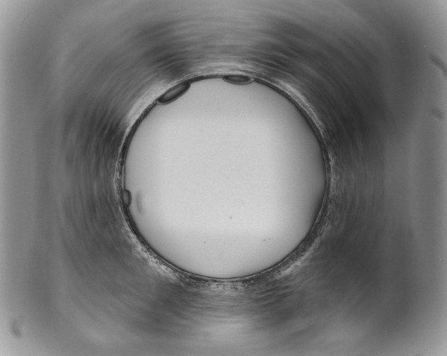 X0000099560901200806131231